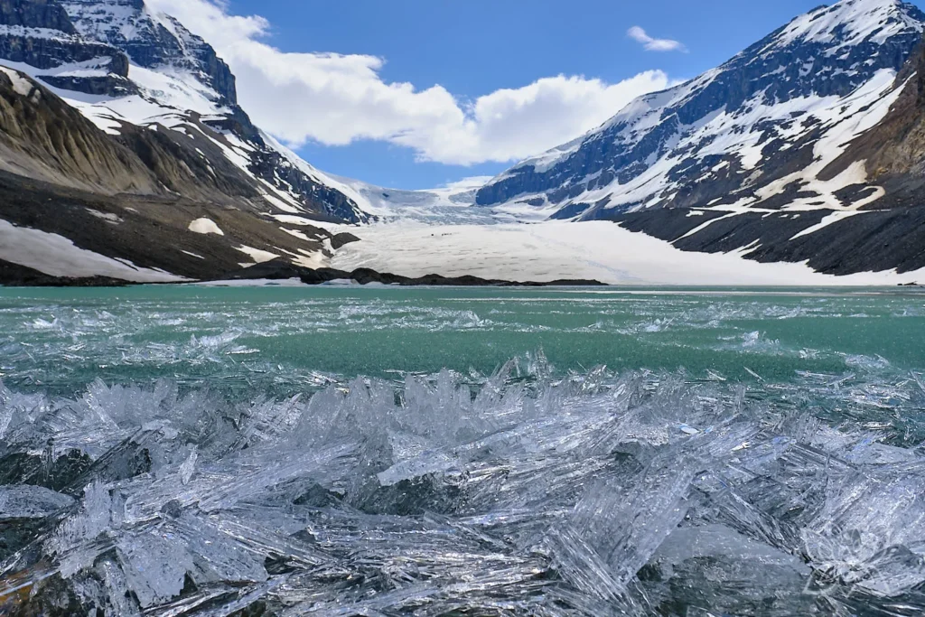 Türkiser Schmelzwassersee mit Eisstrukturen vor Athabasca-Gletscher
