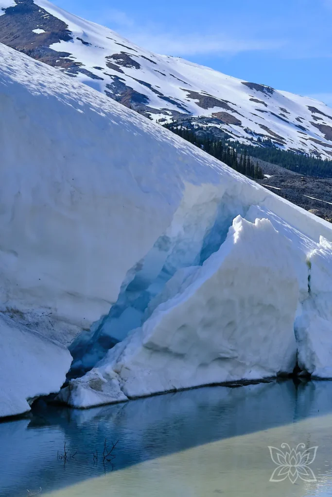 Gletscher-Zunge