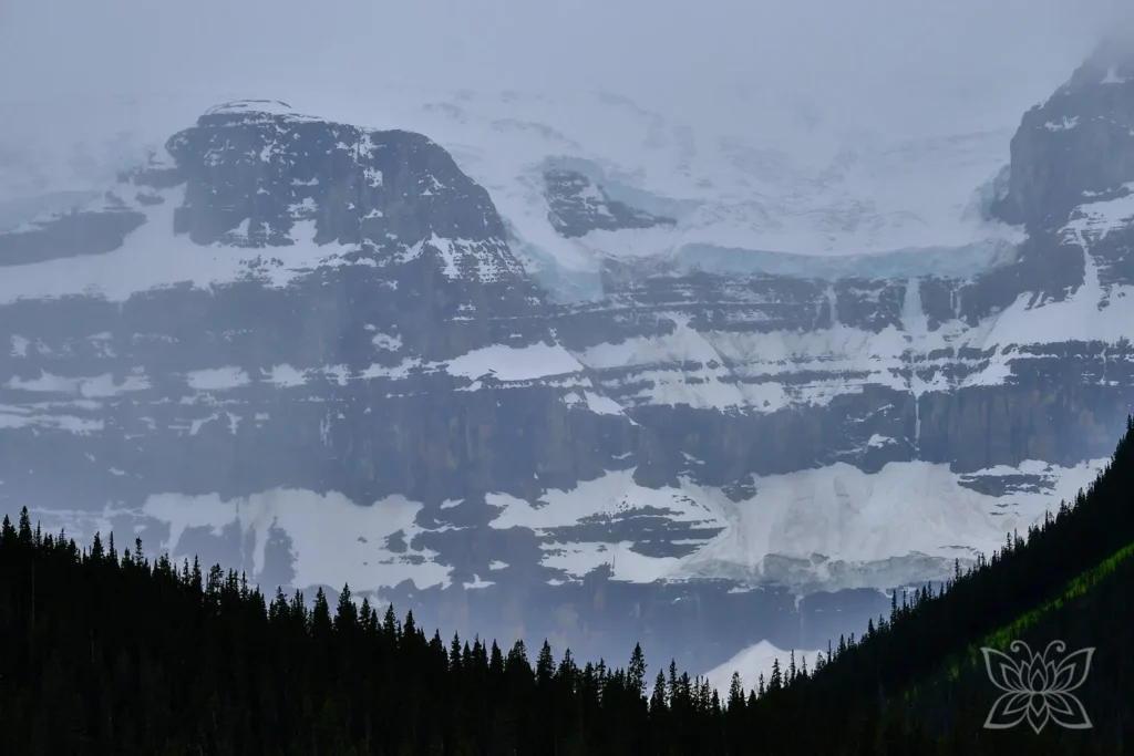 Bergkuppe mit Gletscher im Dunst und Tannenreihe im Vordergrund