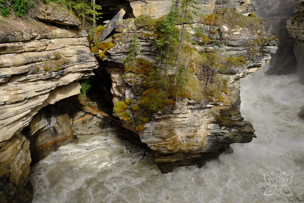 Canyon im Jasper Nationalpark Kanada