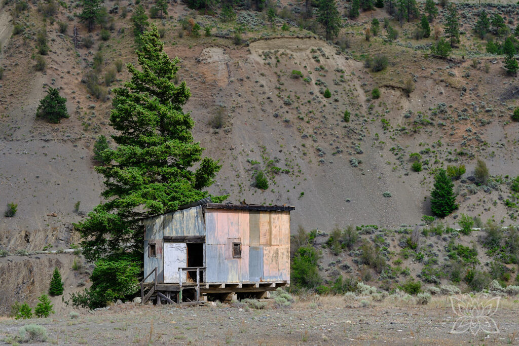 Wellblechhütte in Pastellfarben in der Steppe