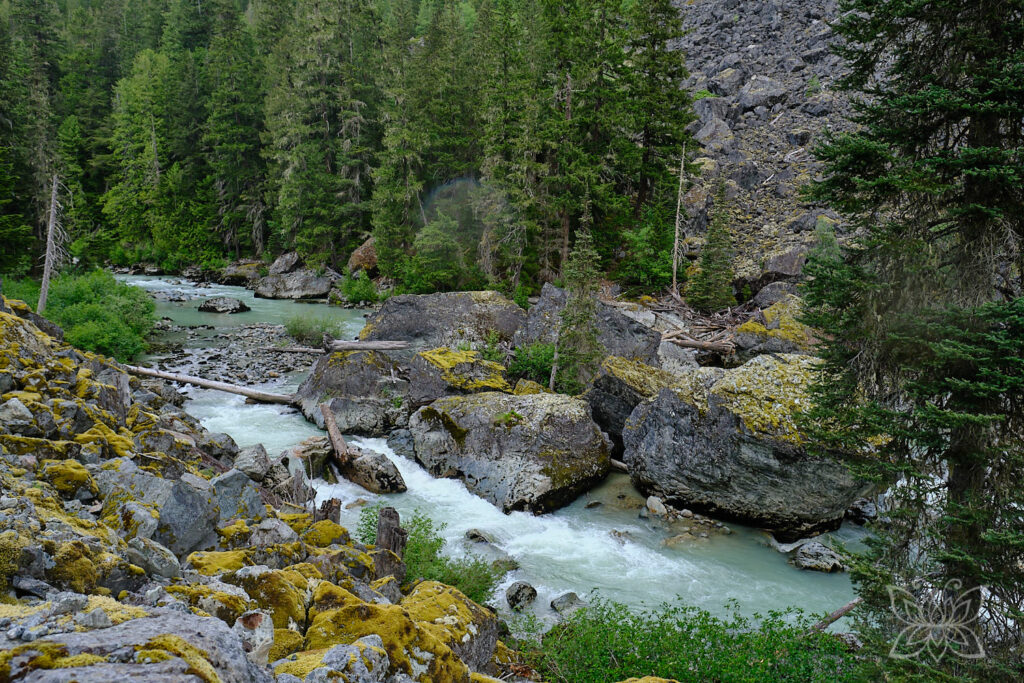 Wilder Fluss in einer felsigen Schlucht