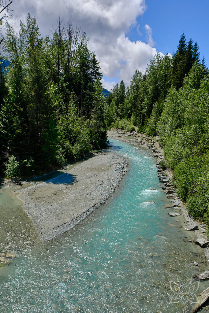 Türkiser Fluss mit Kieselinsel schlängelt sich zwischen Bäumen entlang