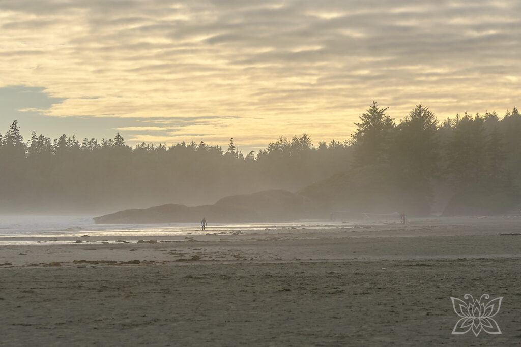 Surfer im dunstigen Sonnenuntergangslicht mit Tannen und Zedern im Hintergrund