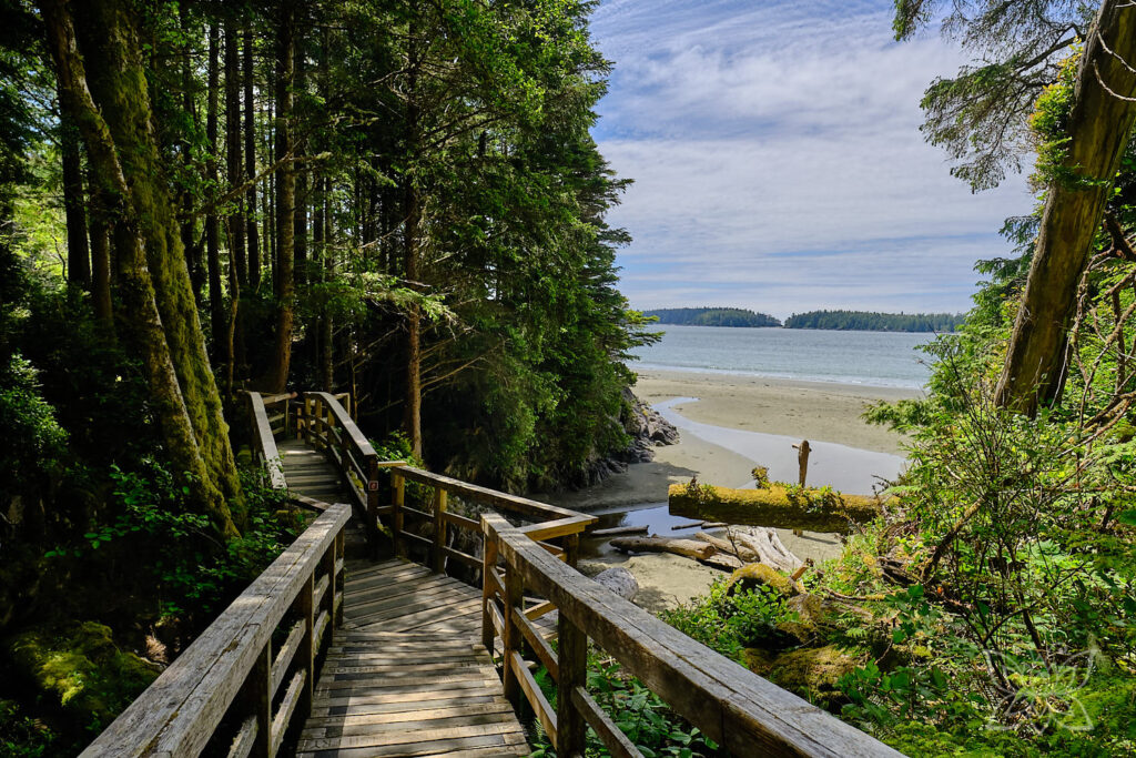 Treppen auf Holzbohlenpfad fürhren an einen Pazifikstrand