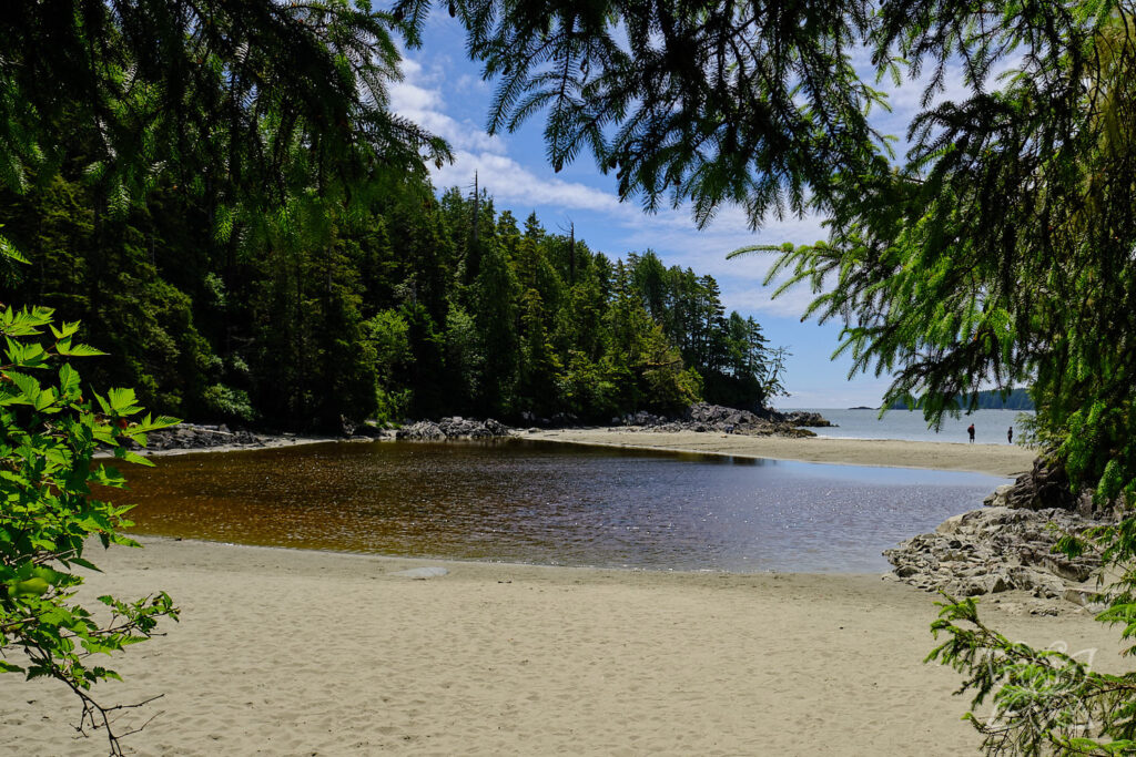 Kleiner See am tannenbestandenen Strand