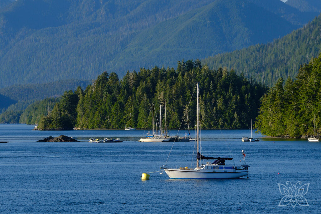 Segelboote in der Bucht von Tofino