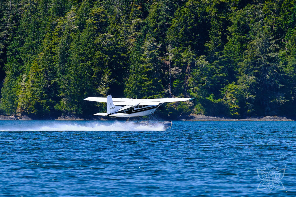 Waaserflugzeug startet in einer Bucht