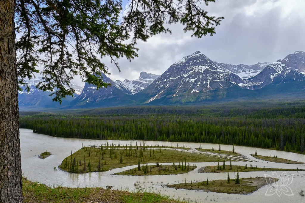 Verzweigte Flusslandschaft bei Goats and Glaciers im Jasper NP