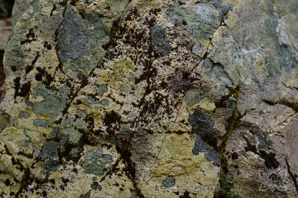 grünliche Jadesteine