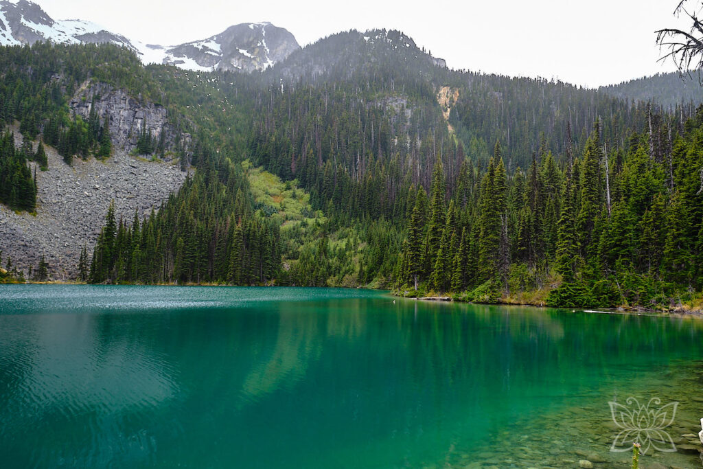 Grüner See mit Bergen im Hintergrund