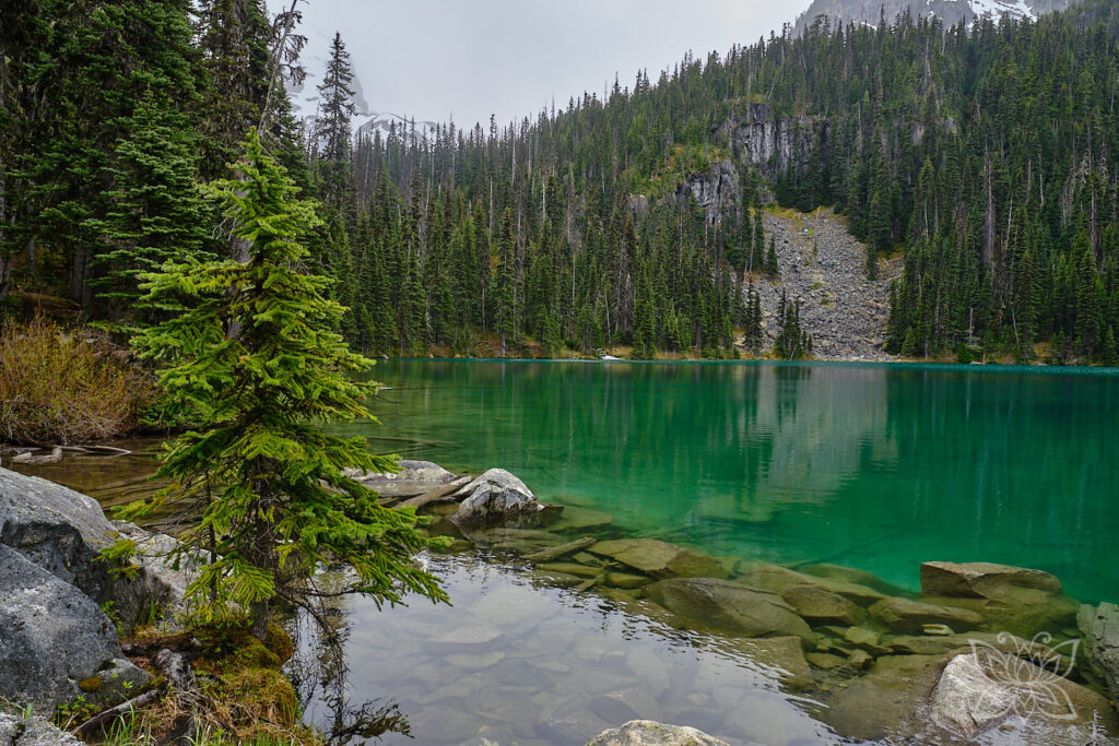 Grüner See mit tannenbestandenen Bergen im Hintergrund auf dem Joffre Lakes Trail