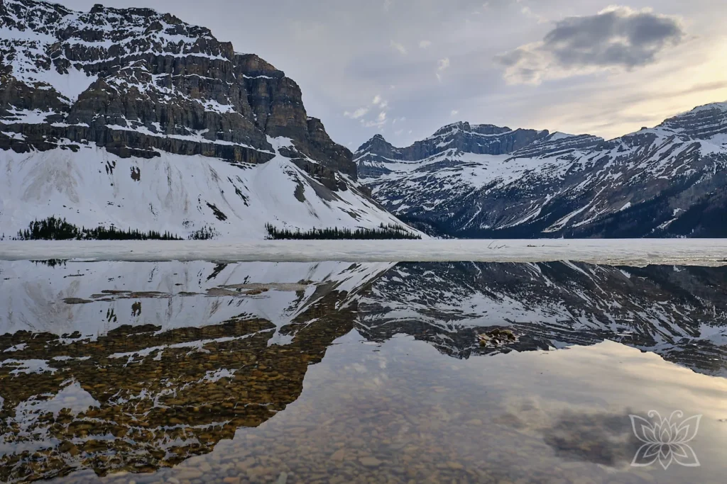 Reflektionen im Bow Lake, Banff Nationalpark