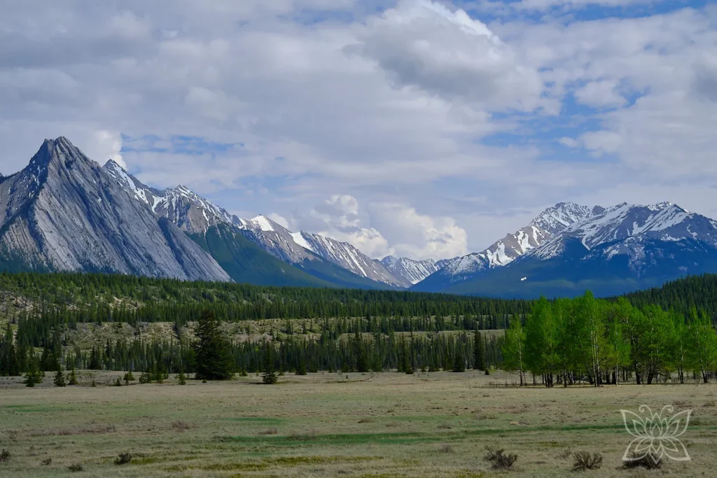 Rocky Mountains hinter Wiesen- und Waldlandschaft