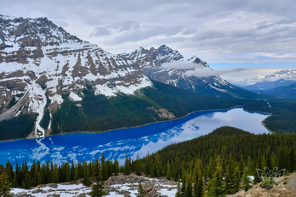 Smaragdblauer Peyto Lake im Banff NP Kanada