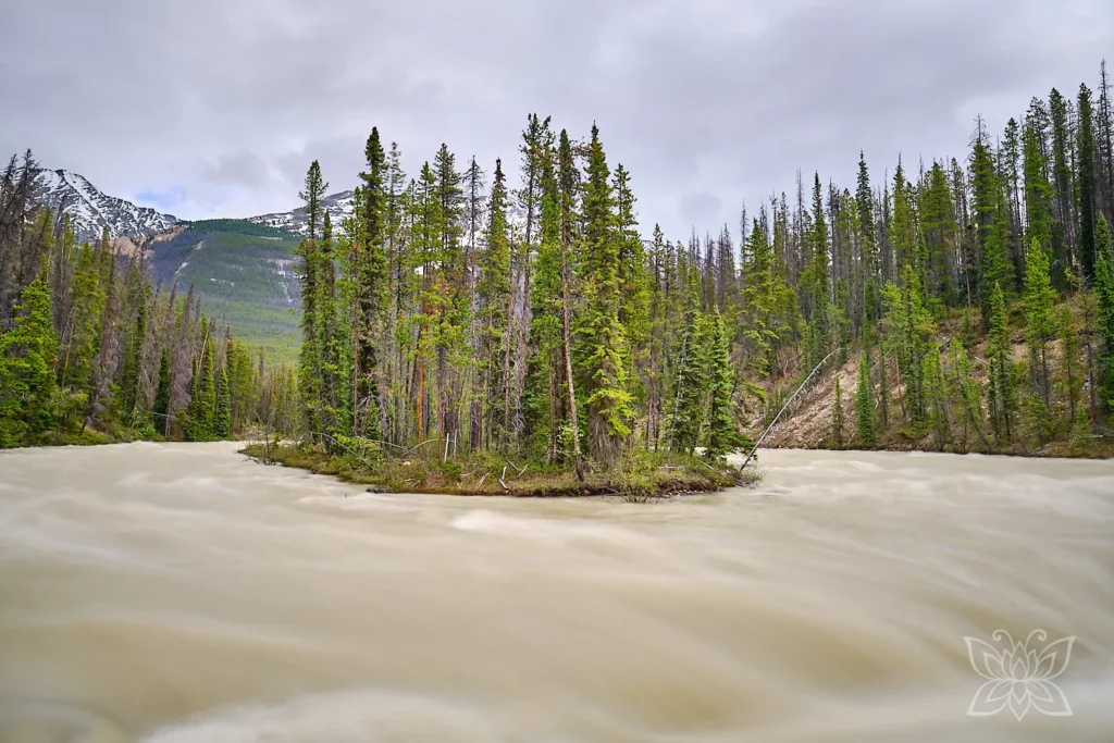 Wasserfall mit tannenbestandener Insel im Jasper Nationalpark Kanada