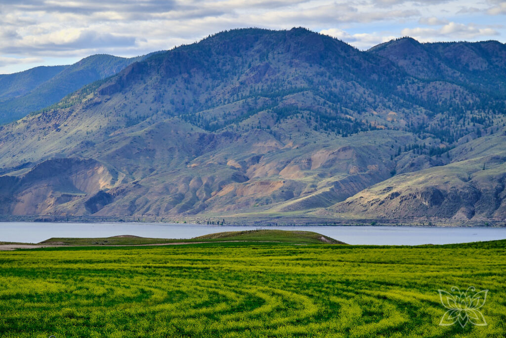 Wüstenberge mit grün-gelb gestreiften Feldern im Vordergrund, dazwischen ein See