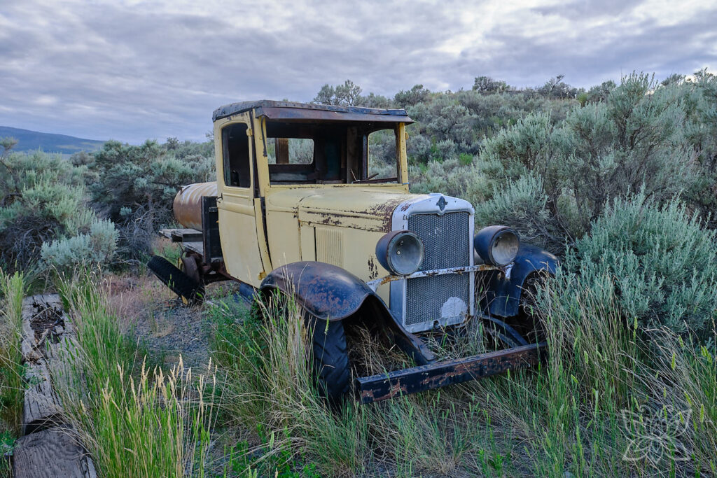 Verrosteter gelber Oldtimer zwischen Salbeibüschen