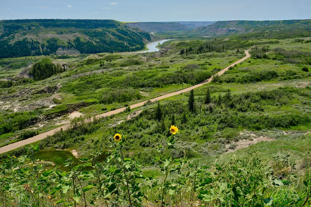 Ausblick auf die grüne Seite des Canyons