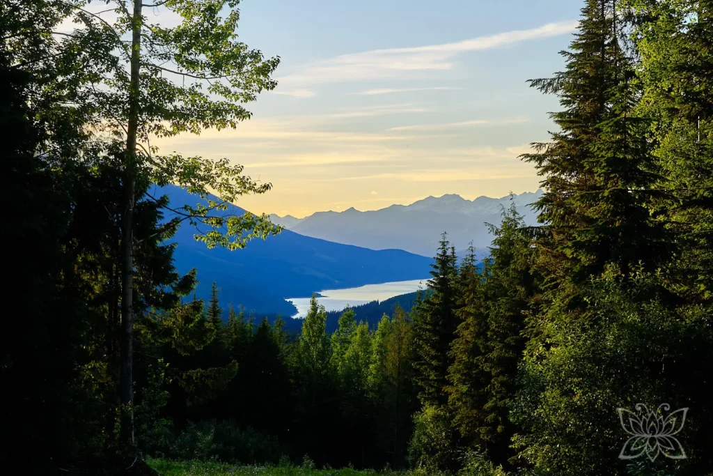Blick durch einen Wald hin zu einem See mit Bergkulisse im Sonnenuntergangslicht