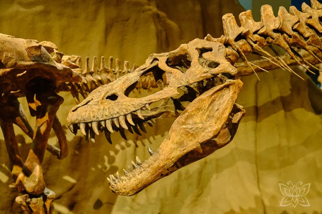Dinos im Royal Tyrell Museum