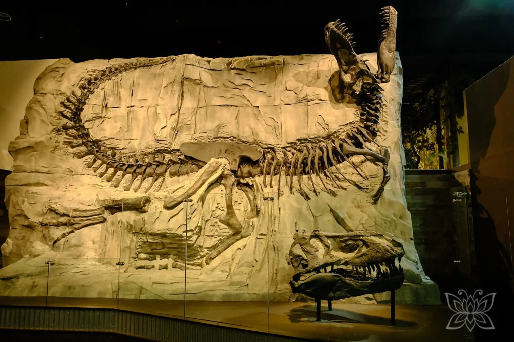 Dinos im Royal Tyrell Museum