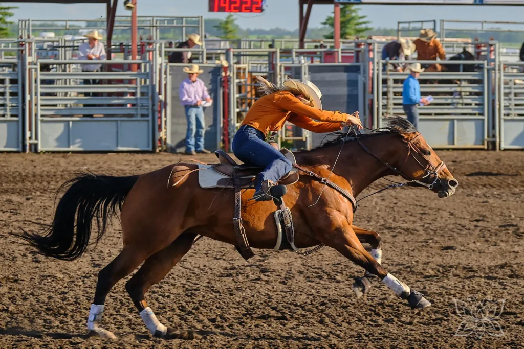Cowgirl in wildem Galopp 