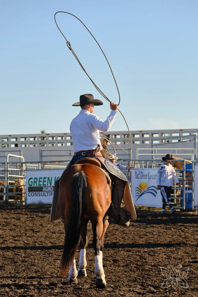 Cowboy auf seinem Pferd schwingt sein Lasso