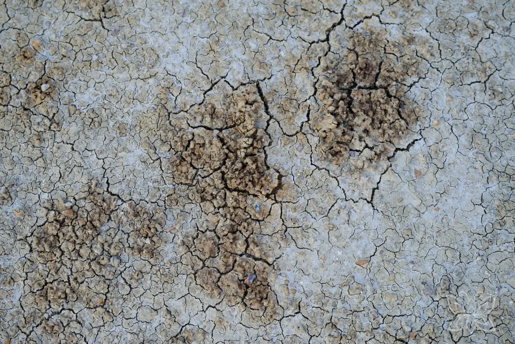 Detail des Wüstenbodens
