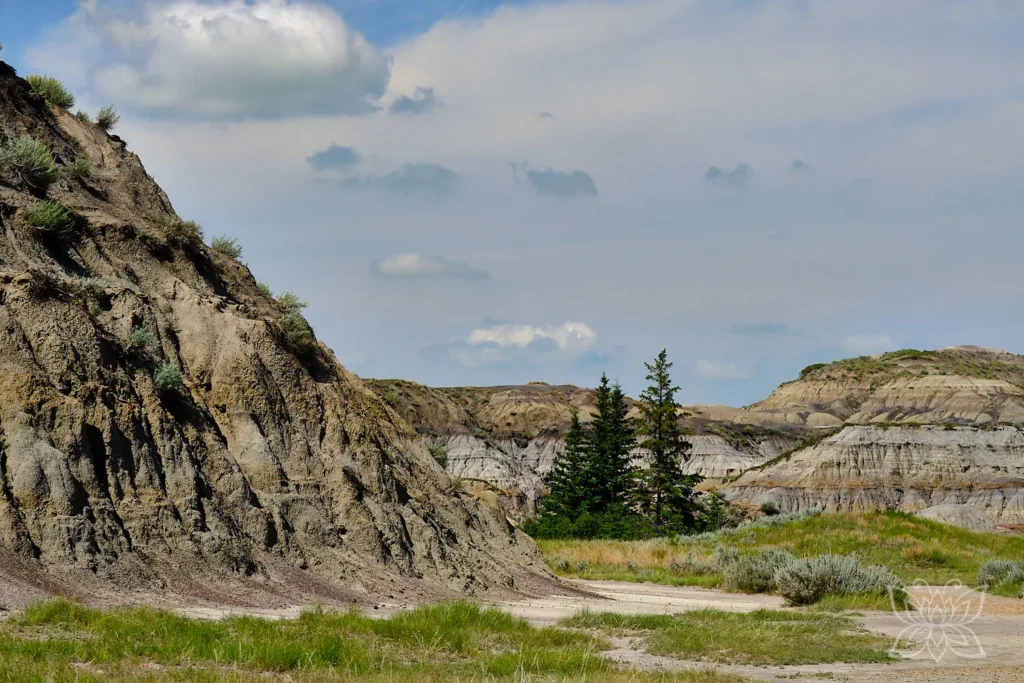 Im Horseshoe Canyon bei Drumheller