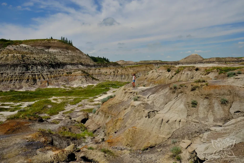 Im Horseshoe Canyon bei Drumheller