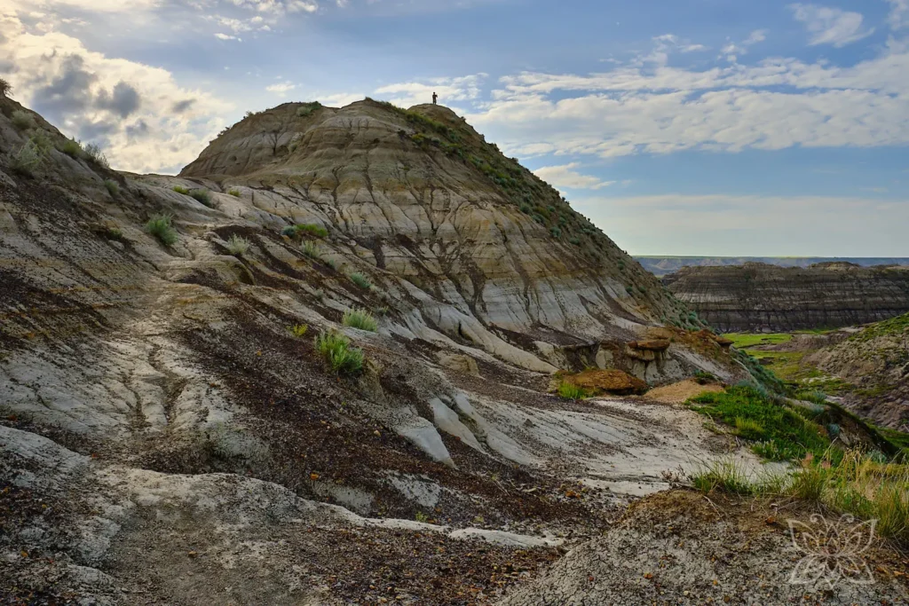 Wüstencanyon mit gestreiften Sandsteinformationen bei Drumheller