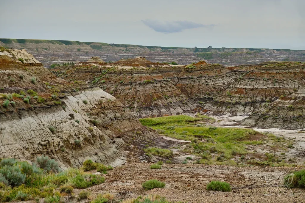 Wüstencanyon mit gestreiften Sandsteinformationen bei Drumheller