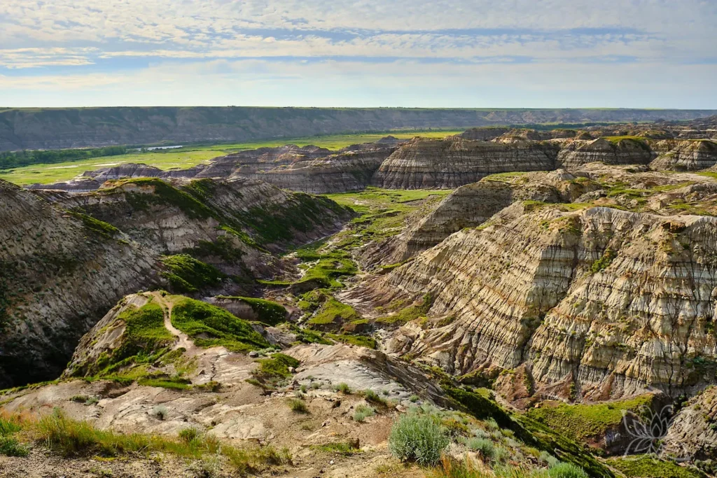 Wüstencanyon mit gestreiften Sandsteinformationen bei Drumheller